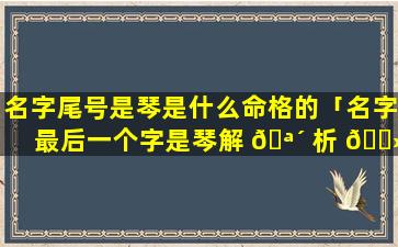 名字尾号是琴是什么命格的「名字最后一个字是琴解 🪴 析 🌻 」